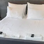 Old Town\'S Nest